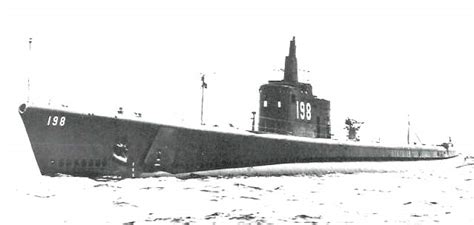 brigerinus1981942 .